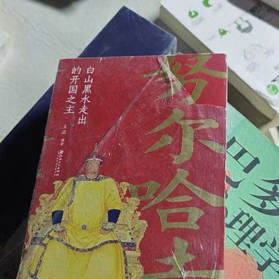 努尔哈赤传，嗯，品相还行。