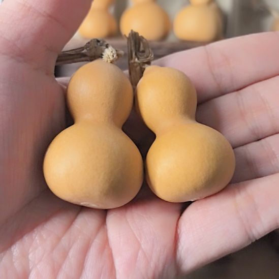 葫芦虫虫宝宝的绕指柔