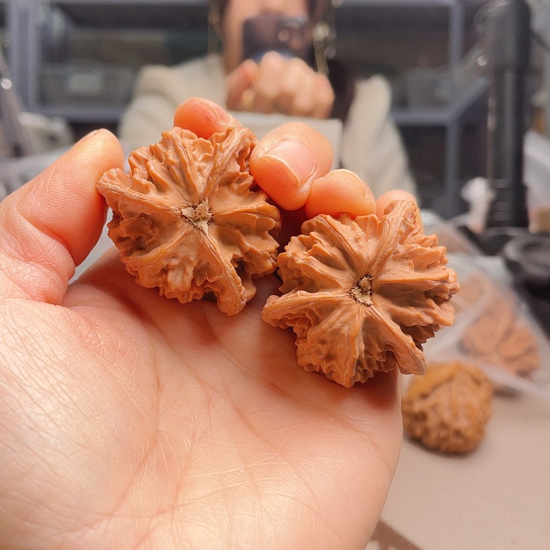 ?****?38三棱镜可拆卸