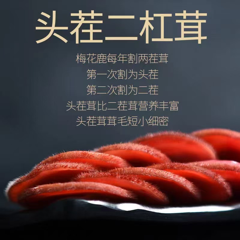 新鲜鹿茸片可泡酒~煲汤