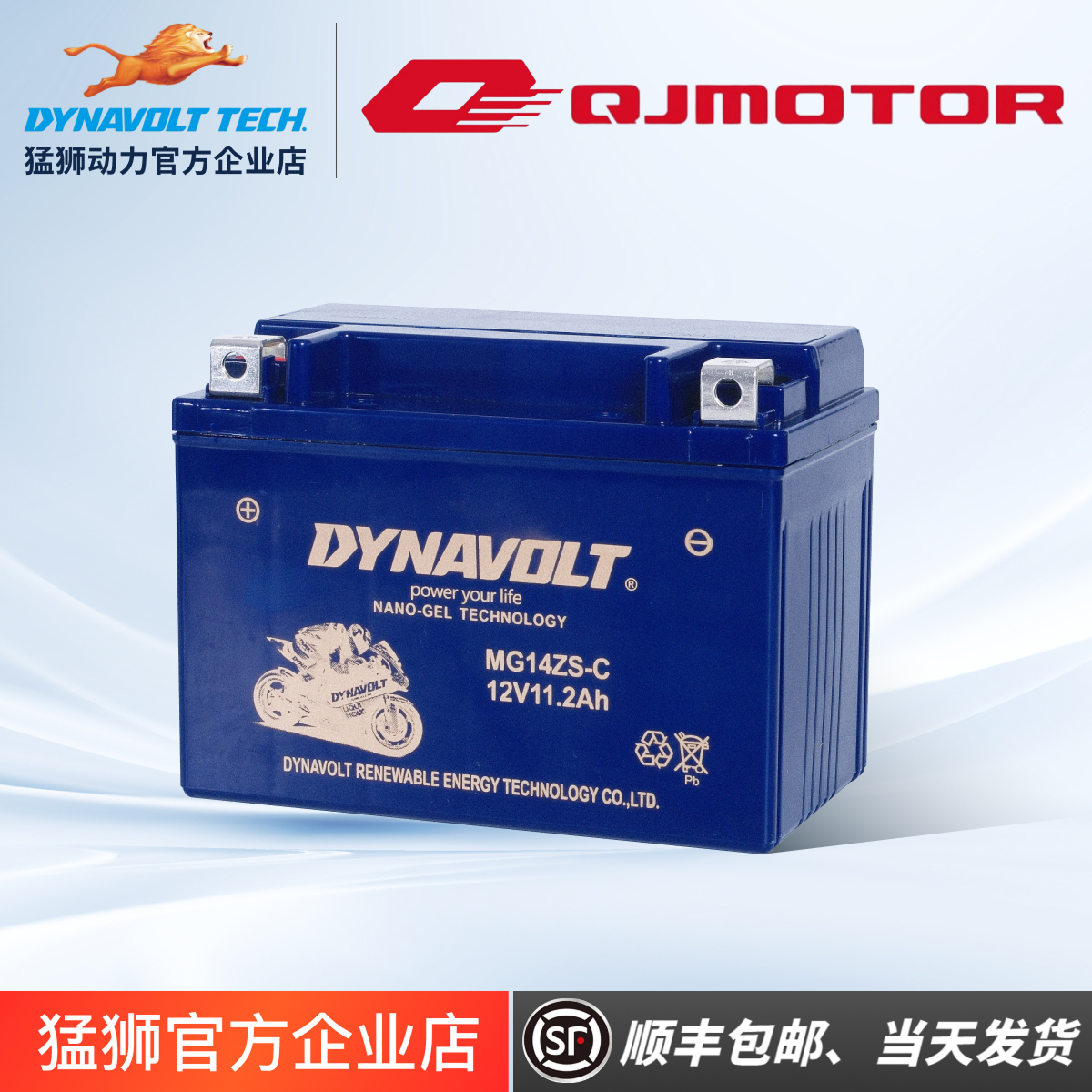 钱江追350追600赛250赛600赛550赛350逸550骁500闪150/猛狮电瓶