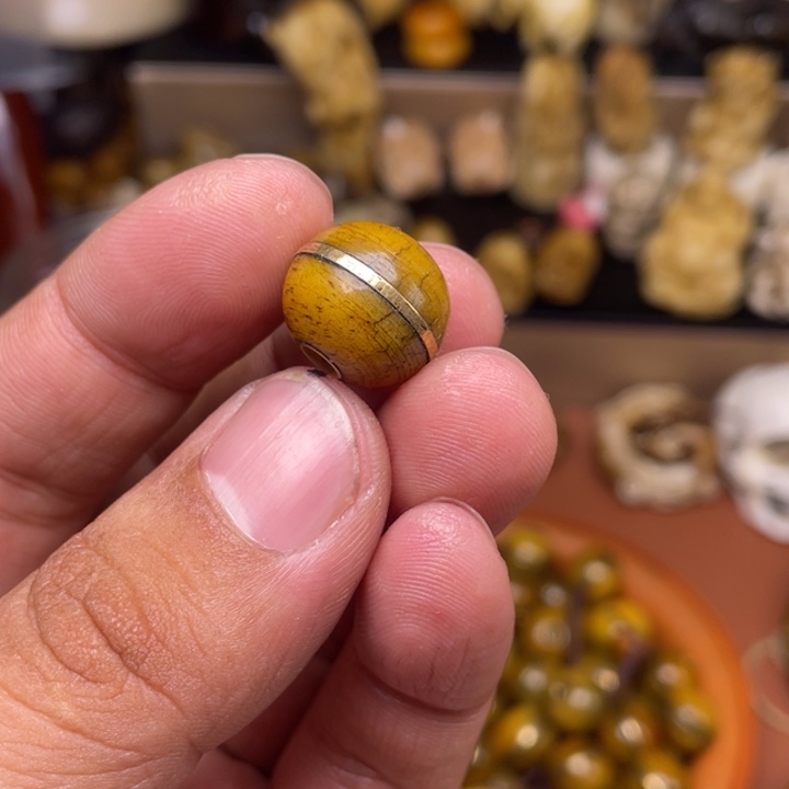 驼骨摆件人工养殖