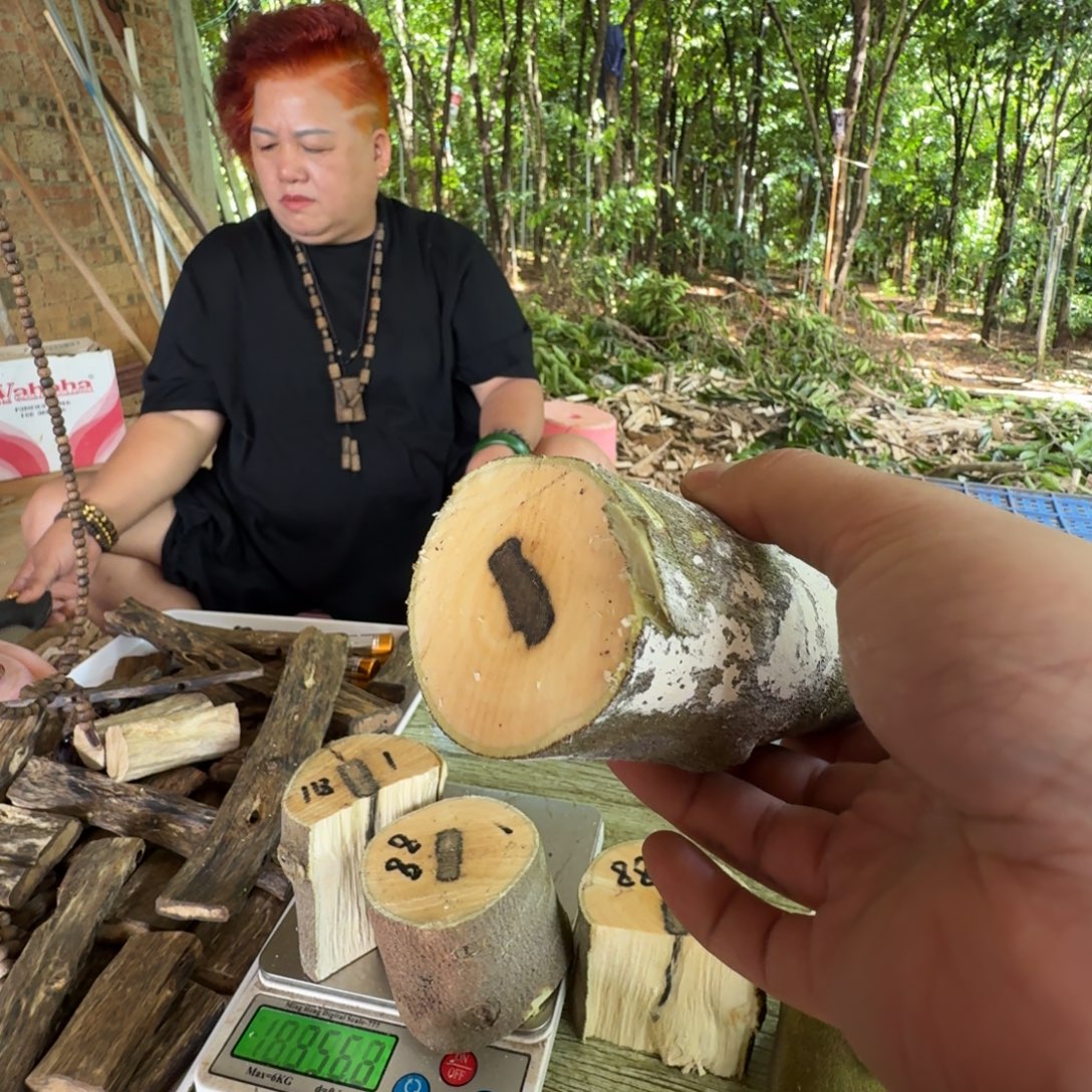 这***猴线香奇楠沉香原木