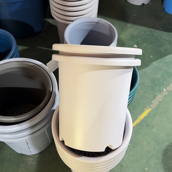 瑕疵7#淡紫色6个无托