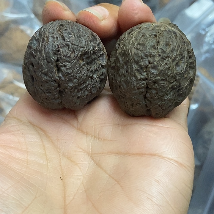 文玩核桃把件云南铁核桃基地50