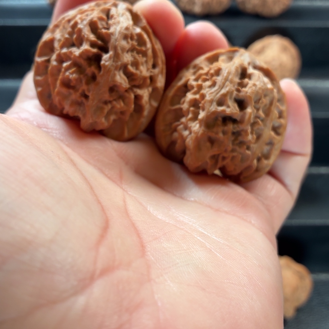 把件桃核山地一代老苹果园41