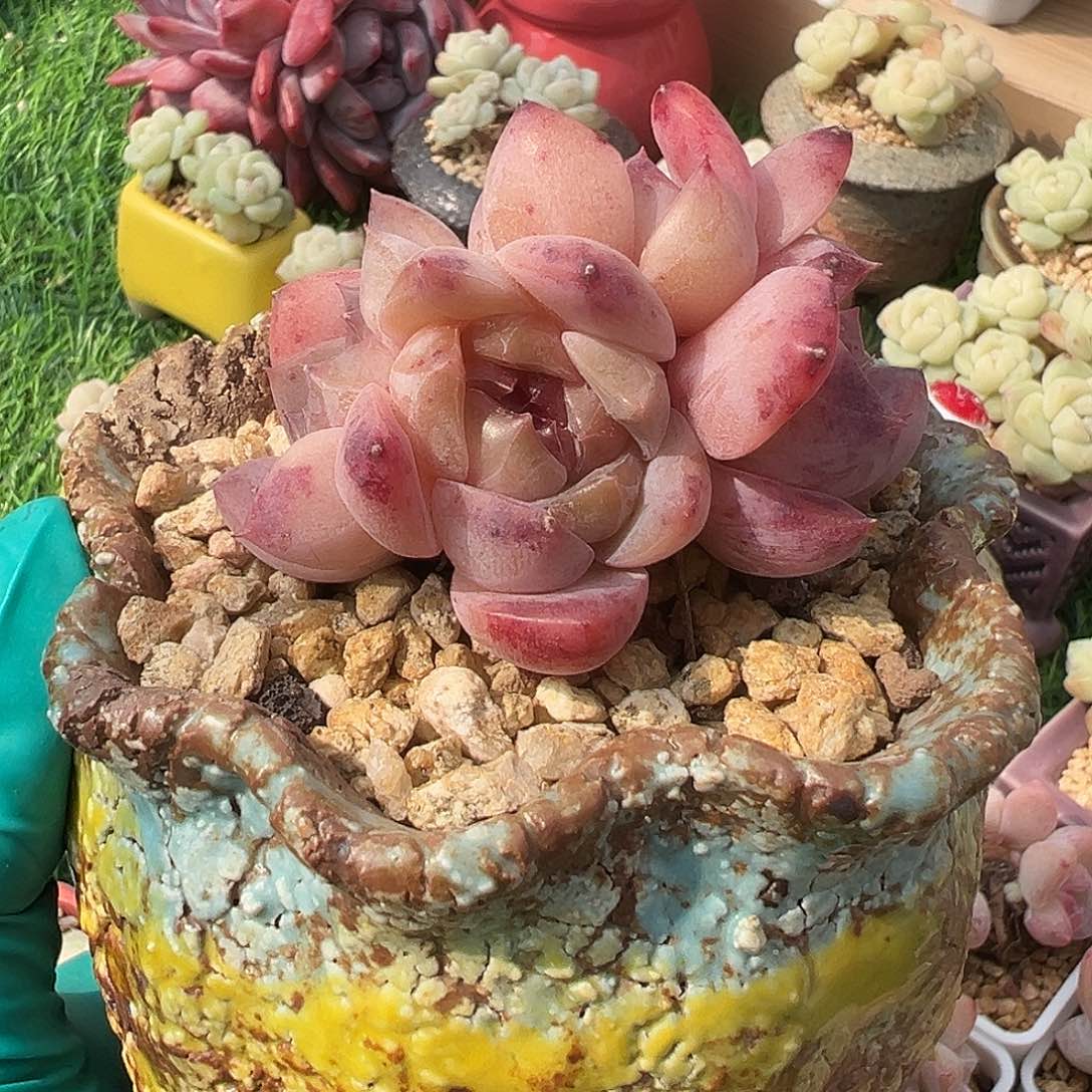 fhvvvvhhbhbhhhhbbhhhh