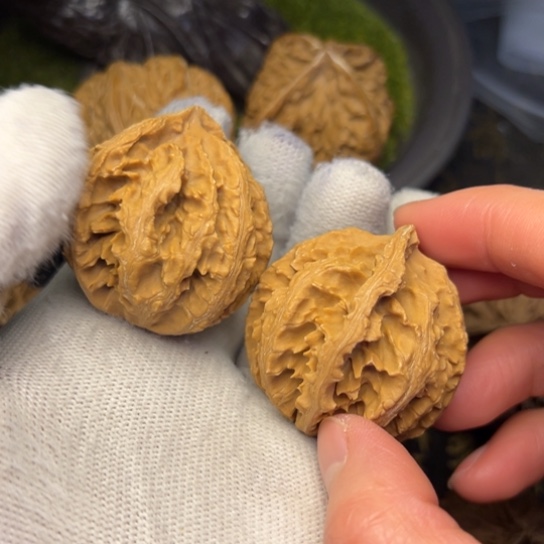 把件文玩核桃秦岭核桃6