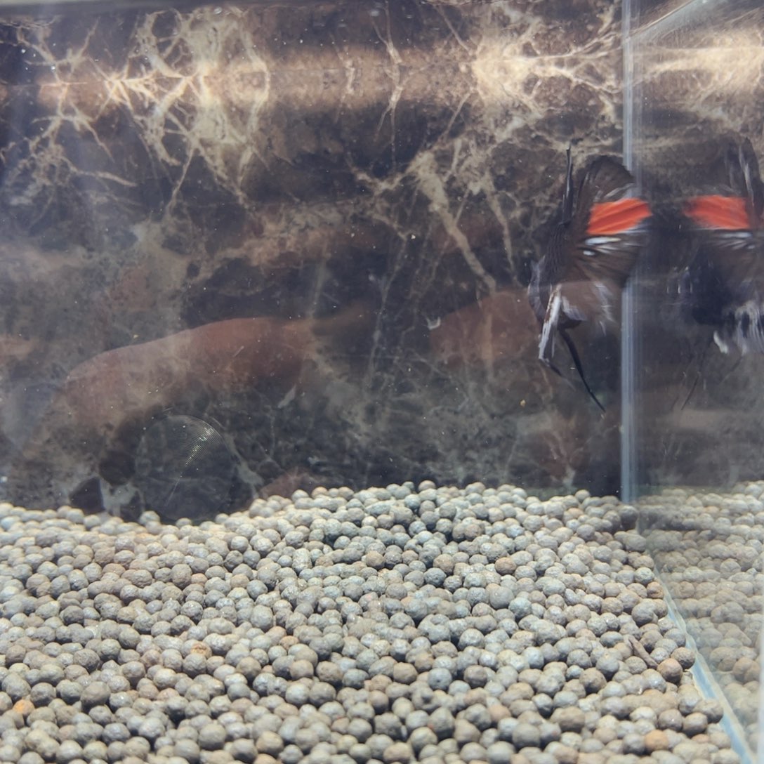 斗鱼呵呵呵快乐佛佛佛佛佛佛哦佛佛