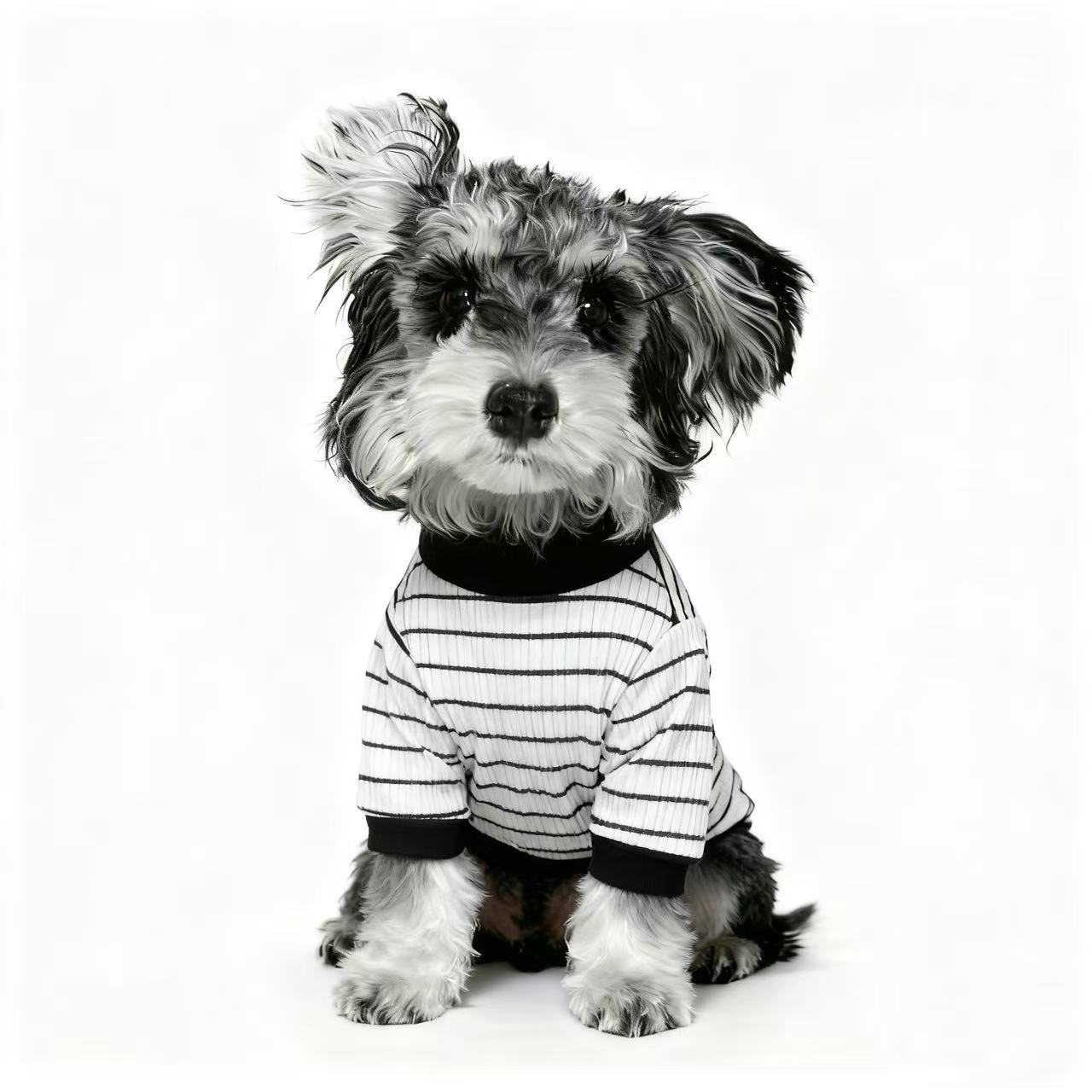 宠物衣服直播间链接