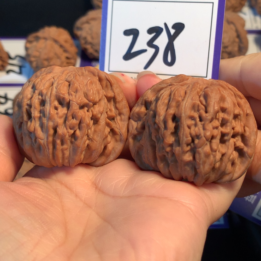 把件文玩核桃238楼子4.6