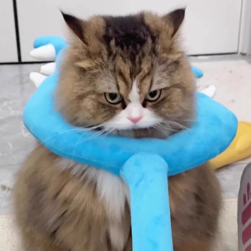 chiikawa吉伊卡哇猫咪讨伐棒毛绒周边小八乌萨奇制裁狗狗叉猫棒