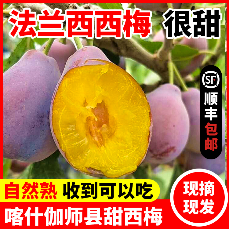 【顺丰包邮】礼盒装新疆喀什伽师法兰西甜西梅新鲜水果4斤