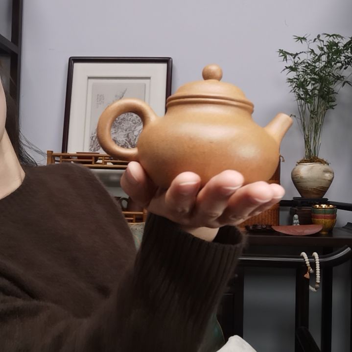 巡***真茶壶紫砂容天壶全手工