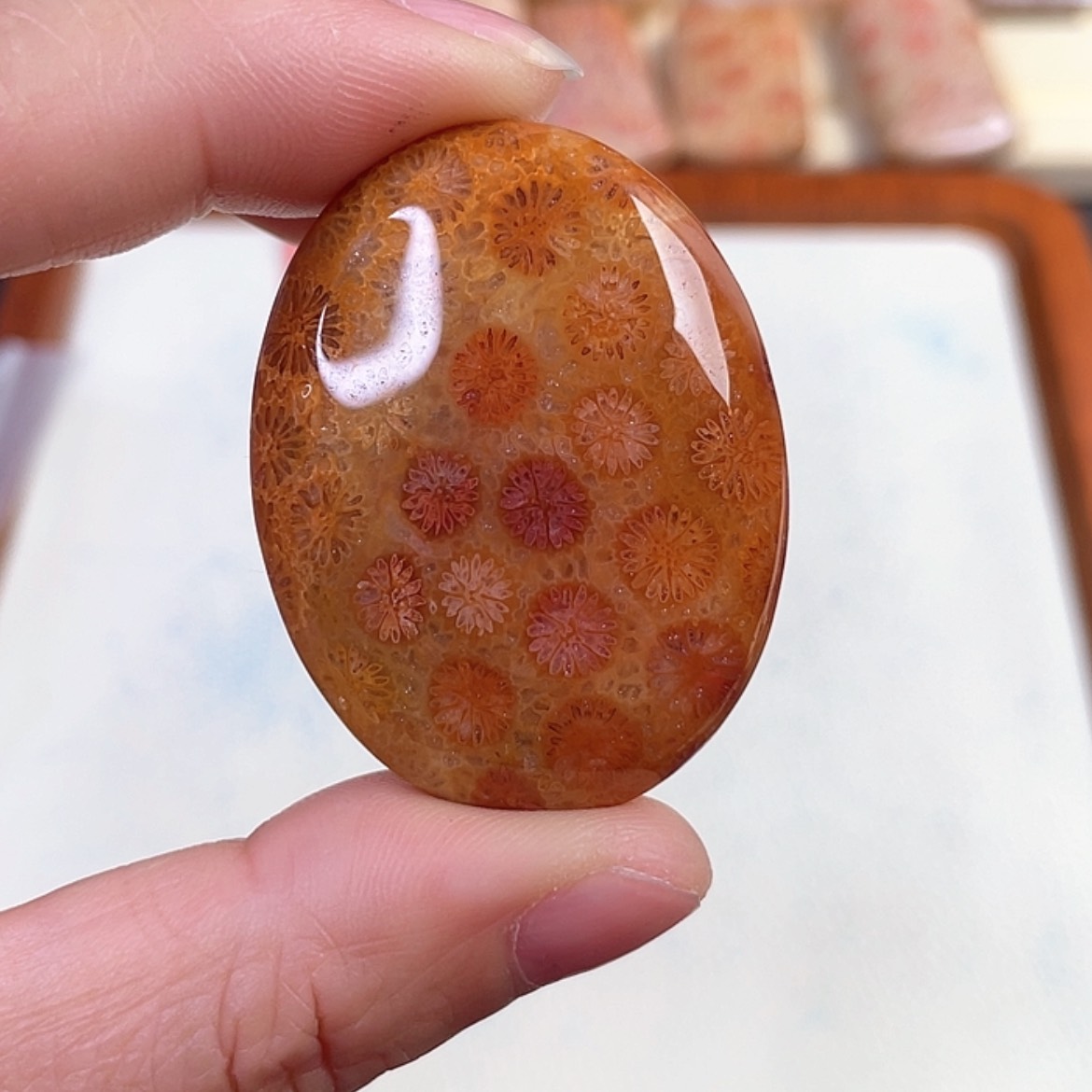 【闪购商品】硅化玉吊坠(赠链)未镶嵌谦*