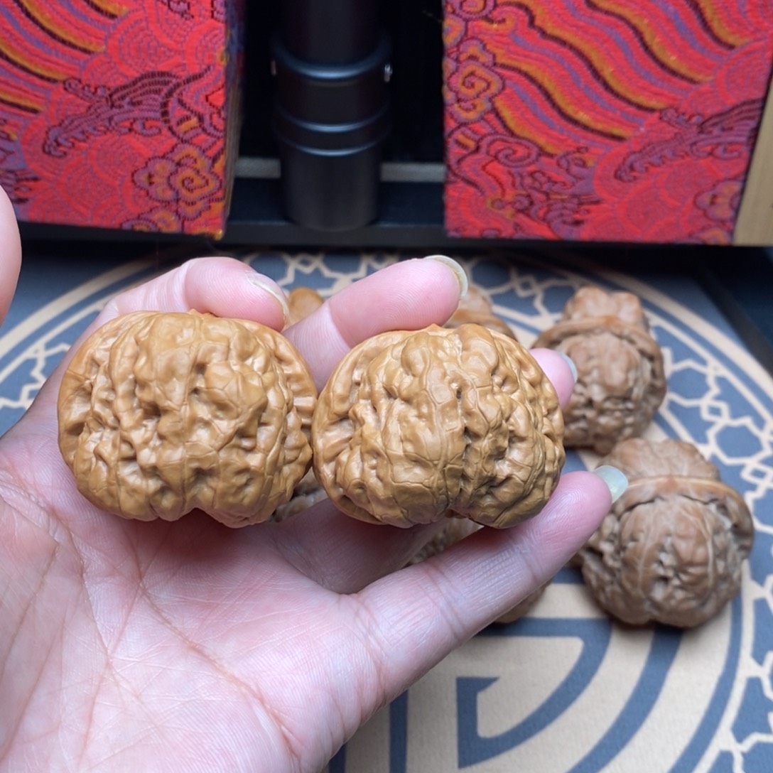 核桃43边42肚昌平蛙