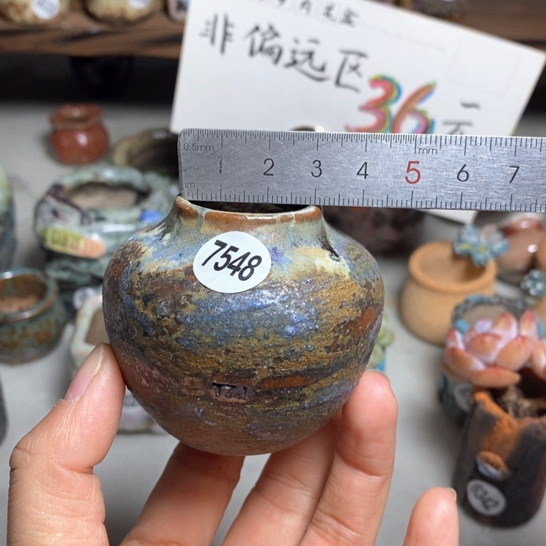 花盆拍5送一个小礼物