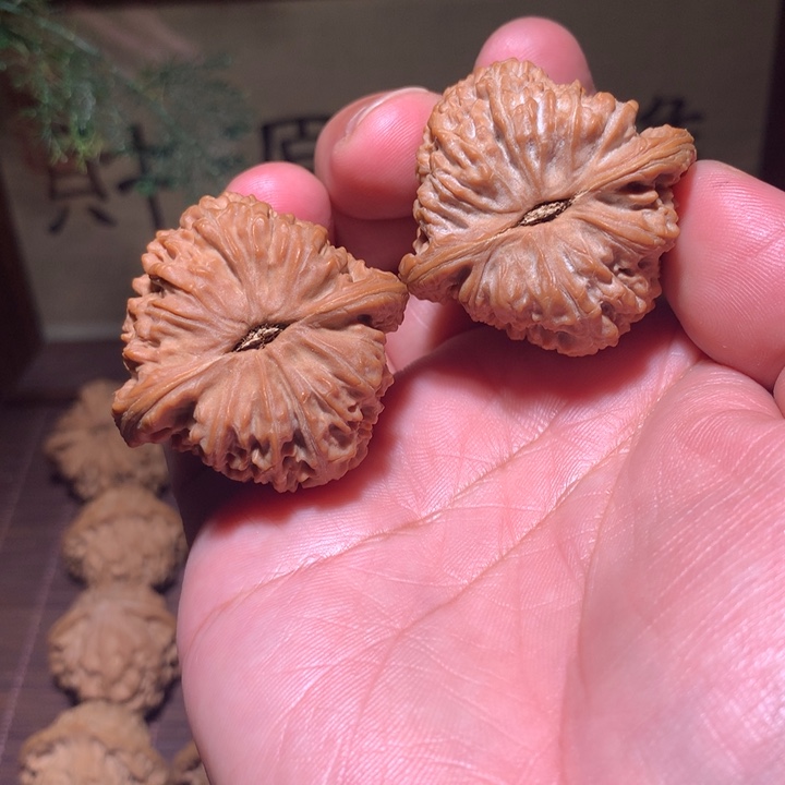 琉***鑫全品南疆石40麻核桃