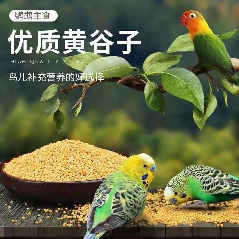 鸟粮新黄谷子中小型鹦鹉饲料食虎皮玄凤牡丹带壳小米食物粮食