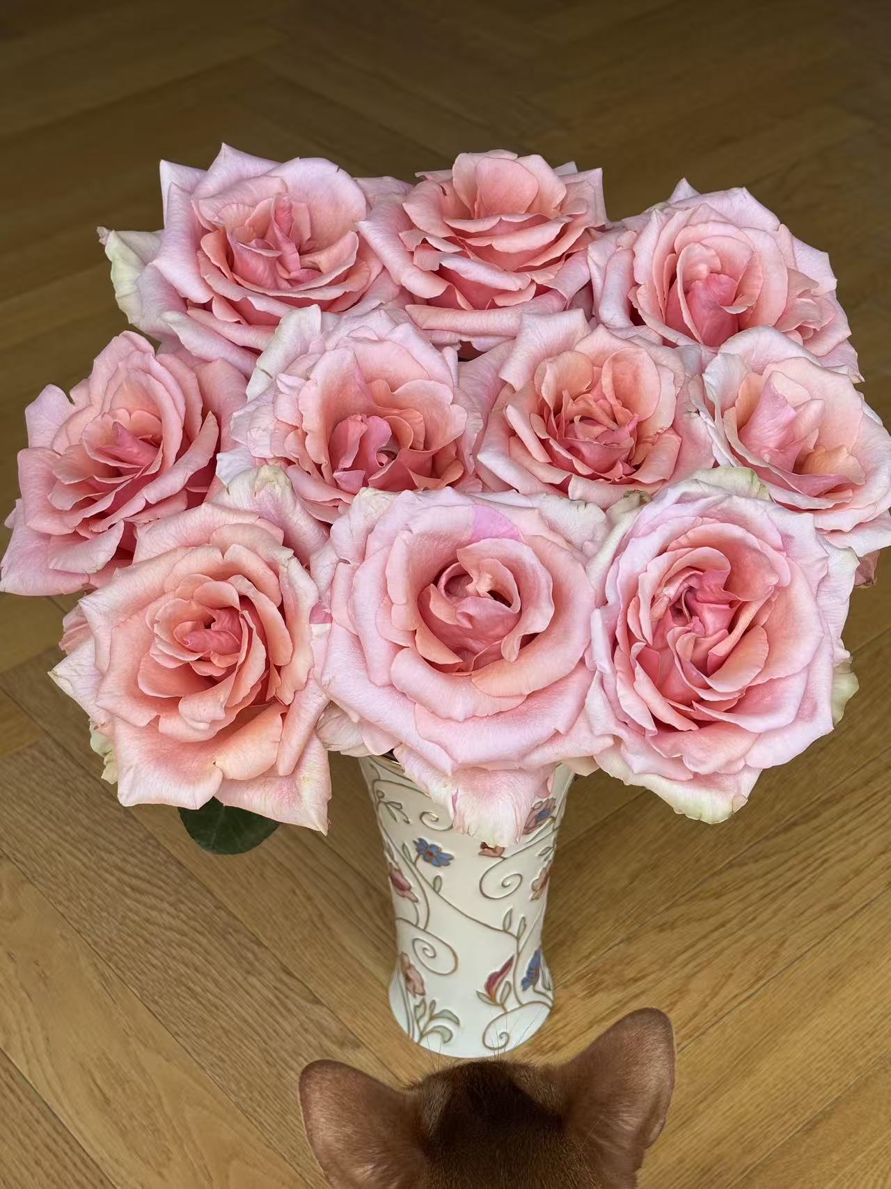 【半岛花铺】娜美  单头玫瑰超大花苞 任意2单或以上包邮发货鲜切花