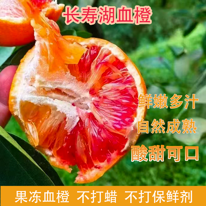 春上新长寿湖血橙塔罗科橙子当季新鲜水果现摘薄皮多汁顺丰包邮