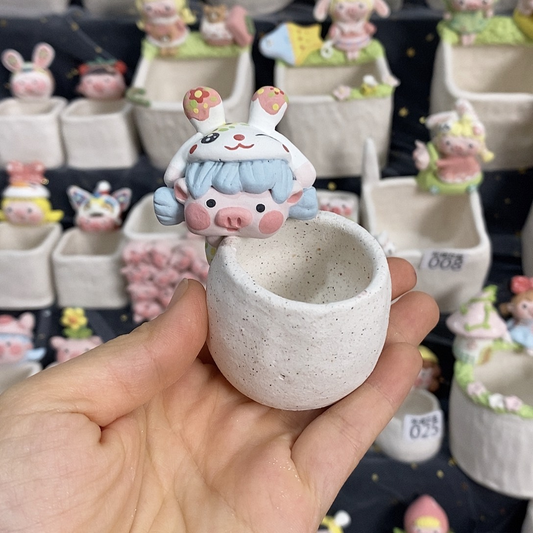 蒜***鸟米诺多肉植物花盆015