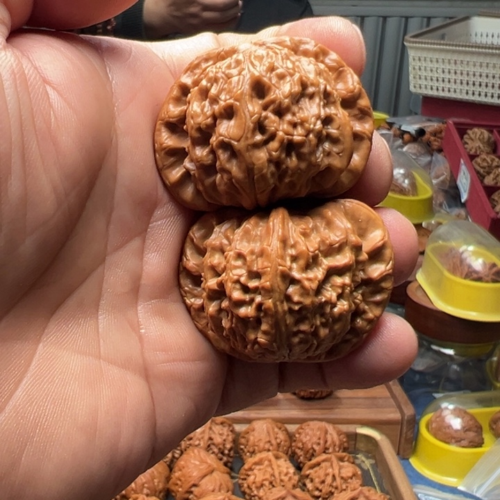 把件文玩核桃白狮子头