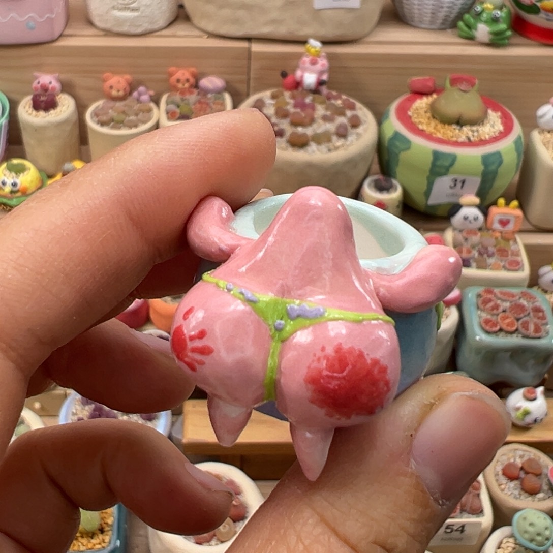 A****多肉植物112号种灯泡
