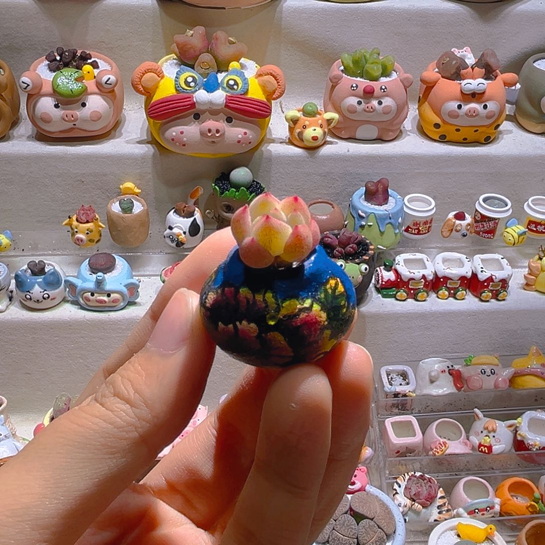 s*ts宝专属链接拍拍