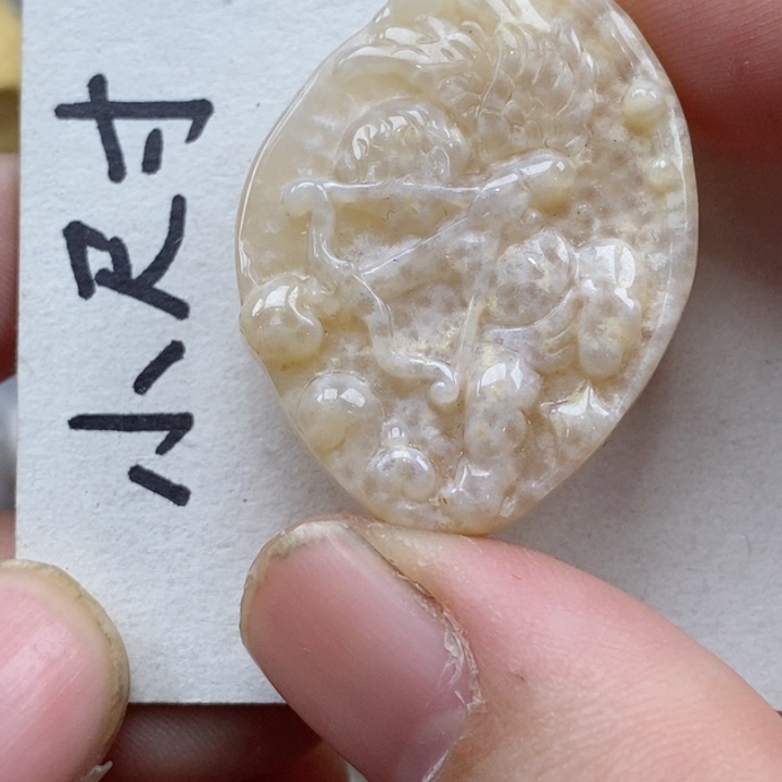 颈饰未镶嵌硅化珊瑚（珊瑚玉）