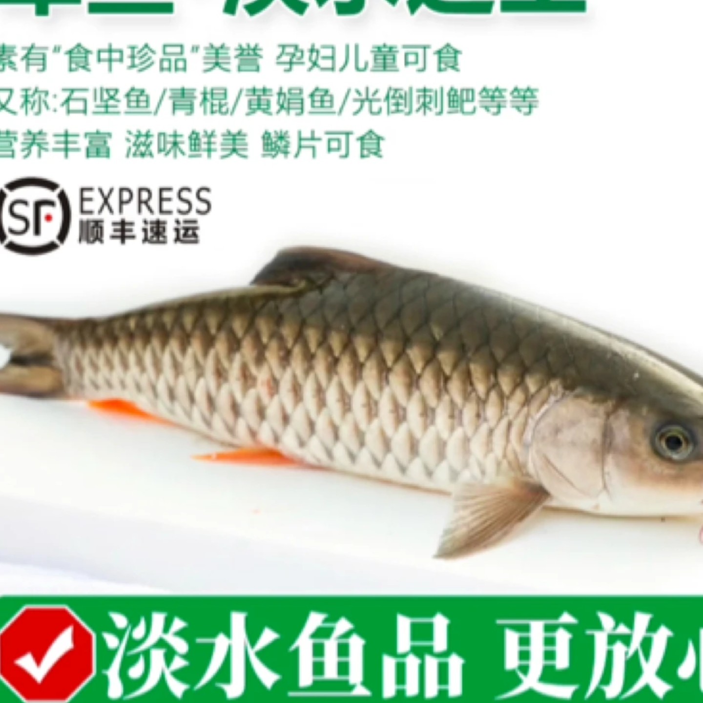 高山水库原生态(军鱼活鱼发货)