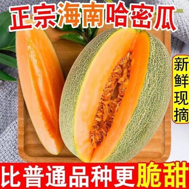 【爆甜爽口】正宗当季海南哈蜜瓜整箱直发大果