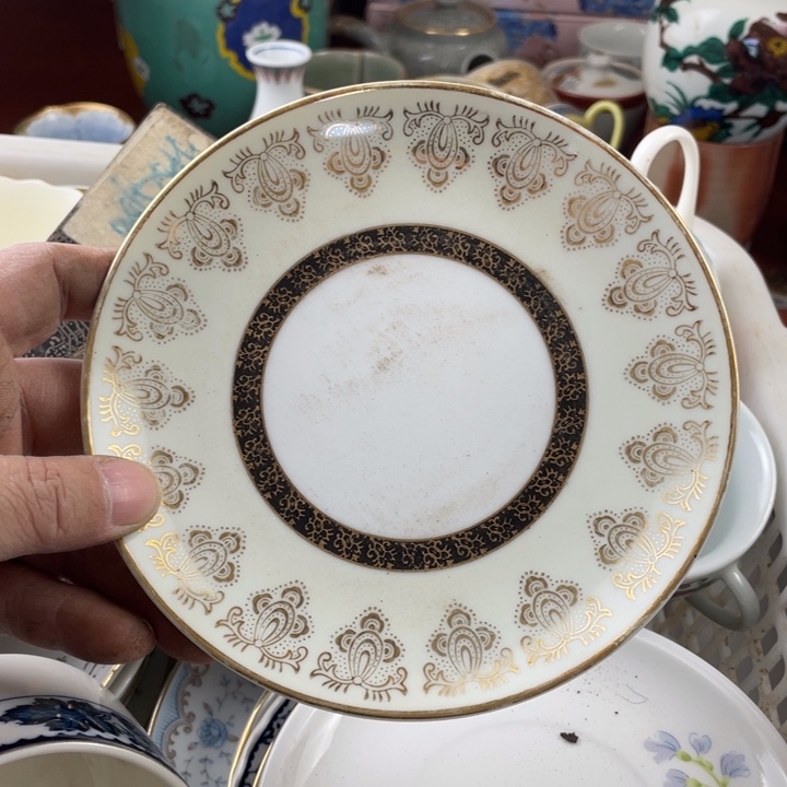 碟开播了开播了开播了