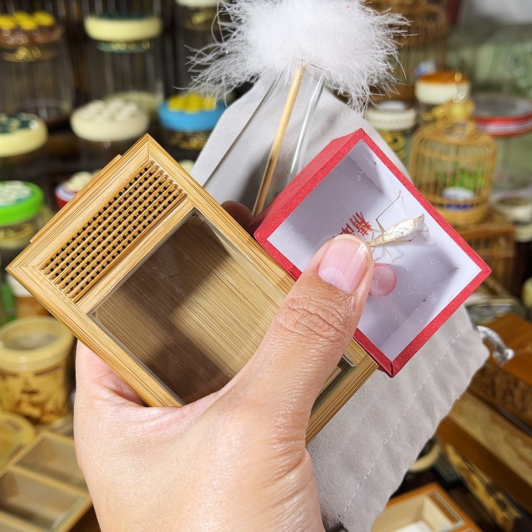 蟋蟀老竹竹蛉盒+竹蛉+过虫器+布套