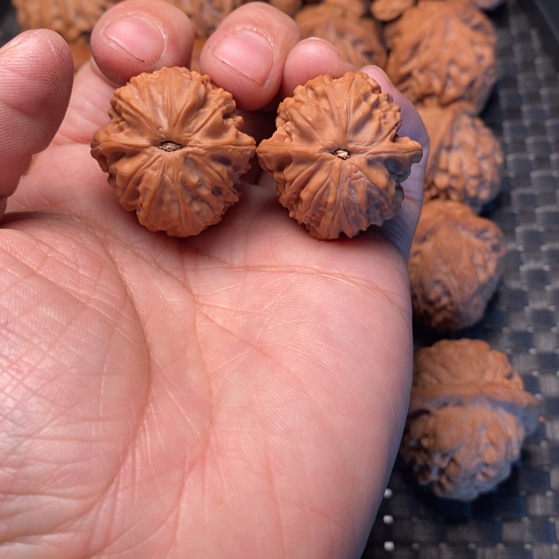 文玩核桃把件龙胆