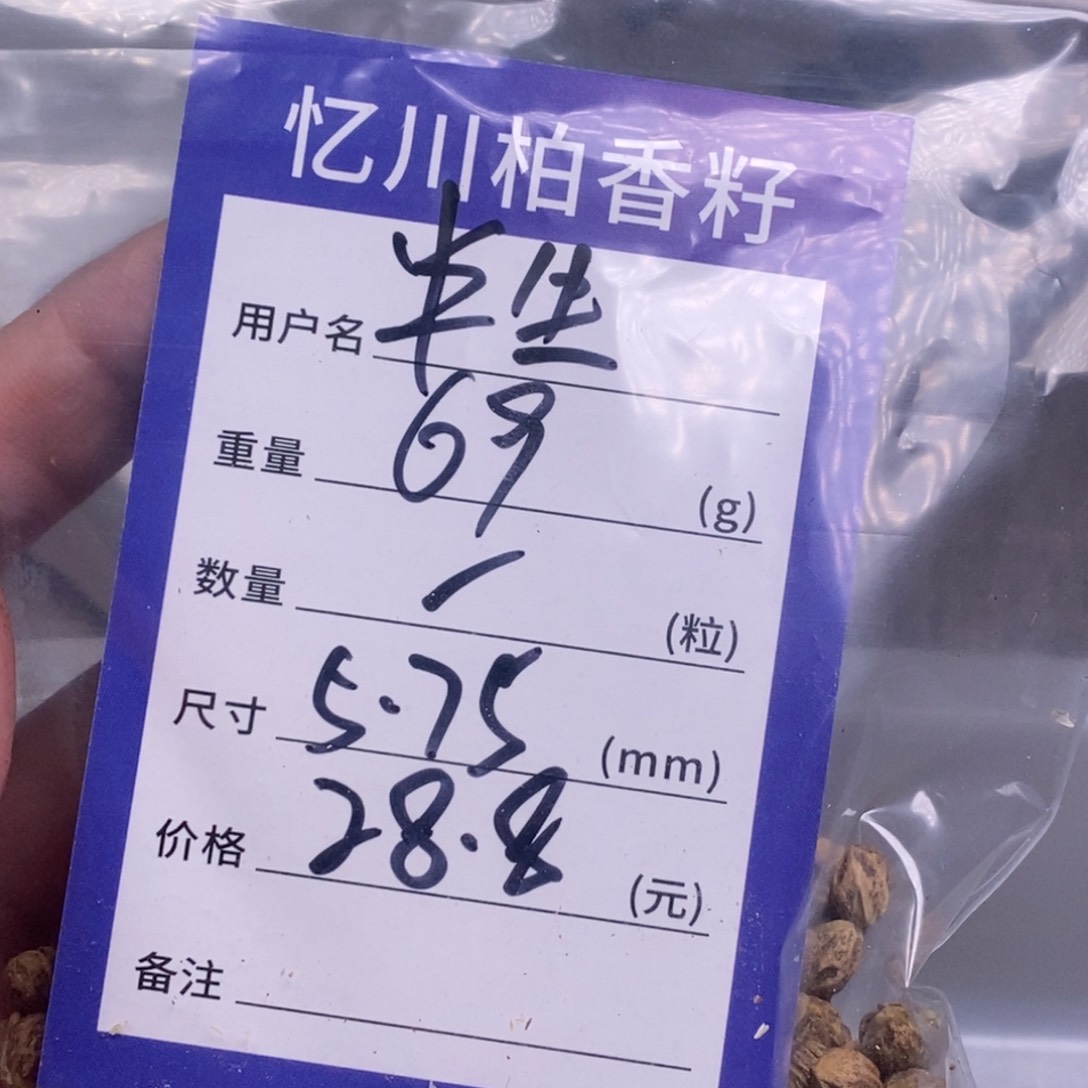 柏香籽/百香籽吊坠半**梦