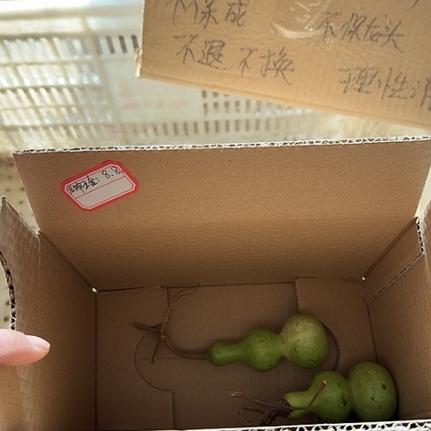 宏***州葫芦葫芦村有了孩子之后的第一次机会