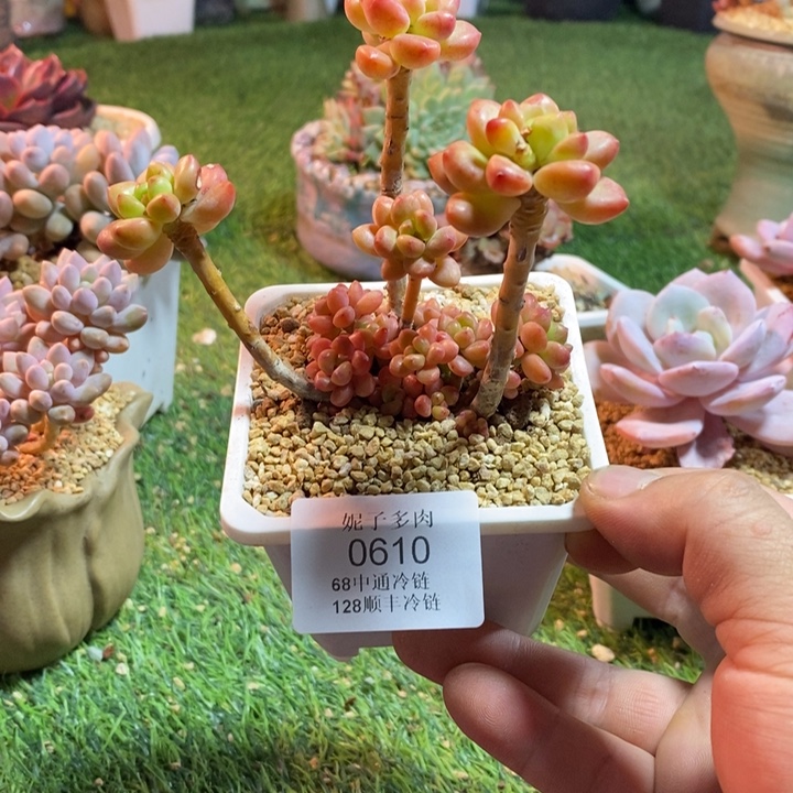 0610啊啊啊啊啊啊啊啊啊啊