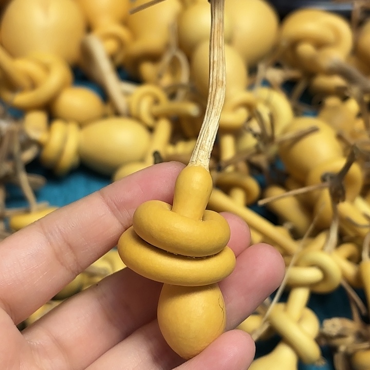 老***子一把葫芦便宜漏了