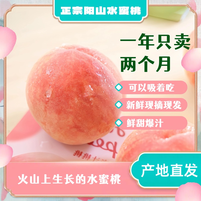 【拍一箱送一箱】4-5两正宗阳山水蜜桃现采现摘白凤水蜜桃8个礼盒装