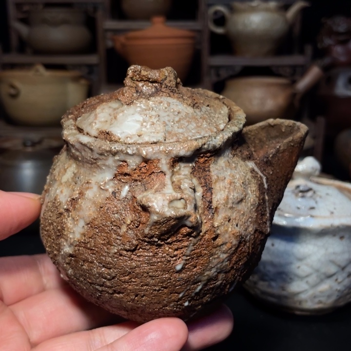 南蛮烧宝瓶1只不错