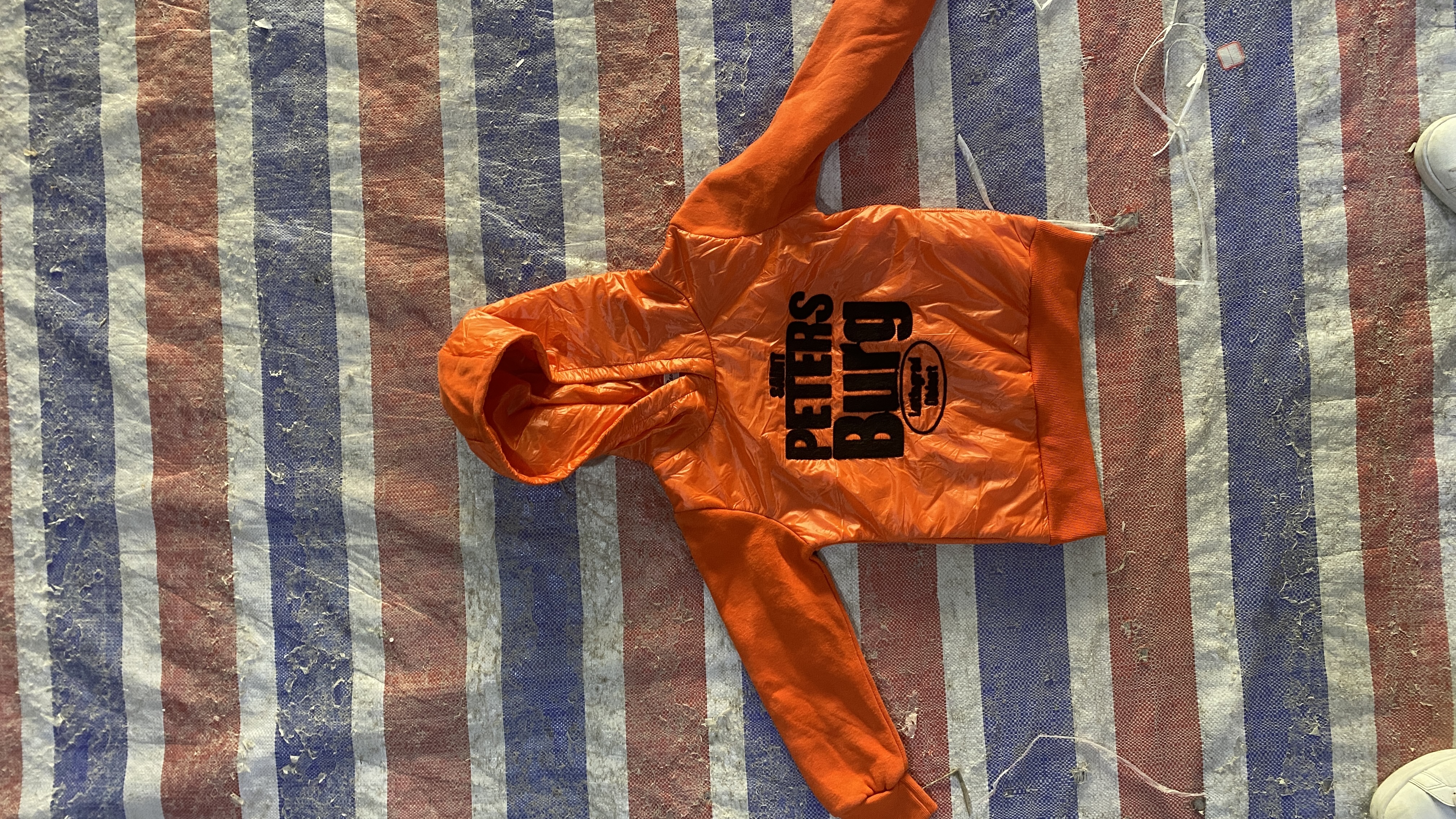 衣服儿童运动百搭女童男童洋气时尚休闲