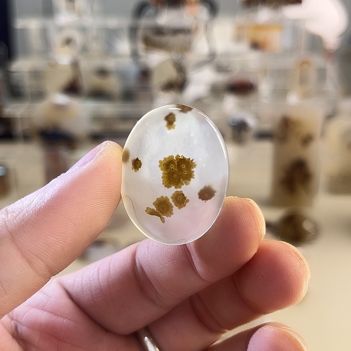 玛瑙/玉髓吊坠(不含链)未镶嵌