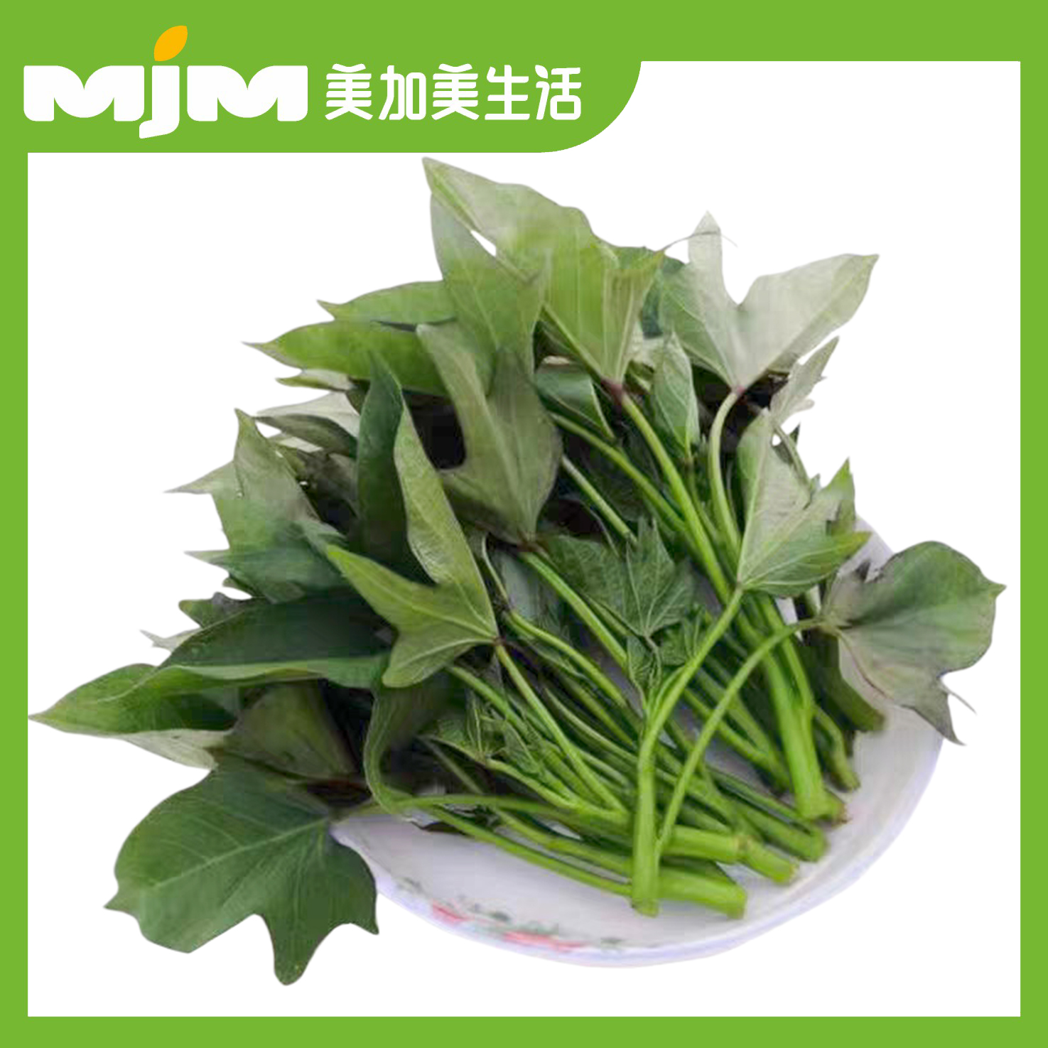 【500±20g/份】返野生桂菜红薯叶