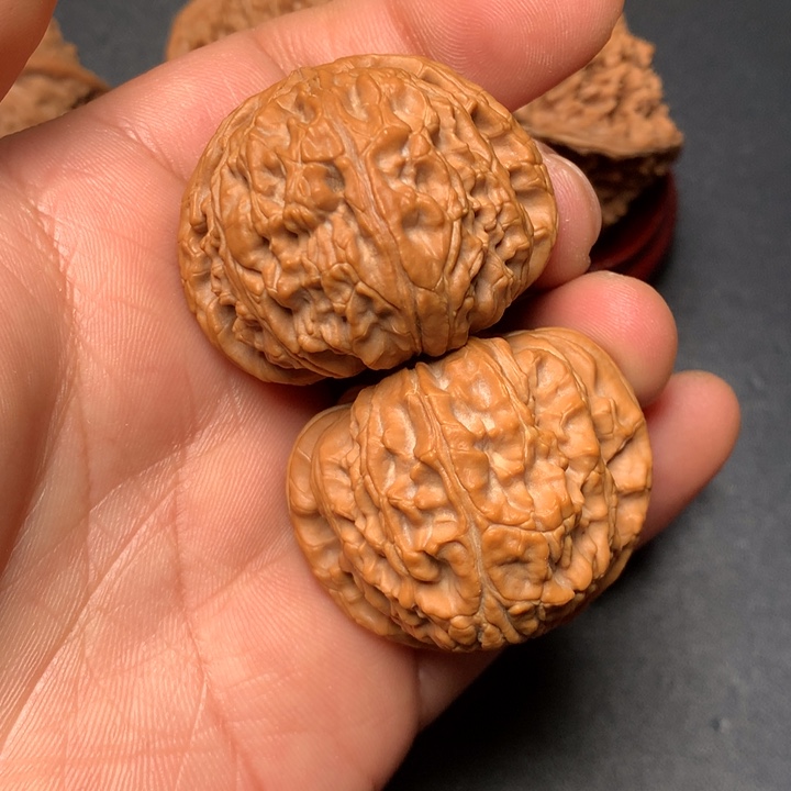 文玩核桃把件40白狮子956