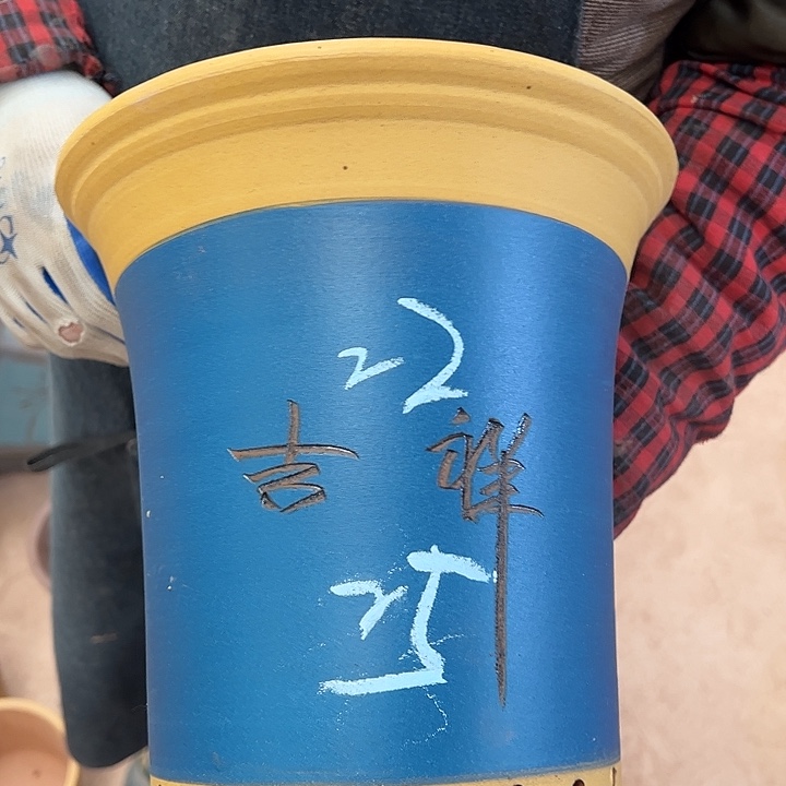 紫砂艺术学院美术