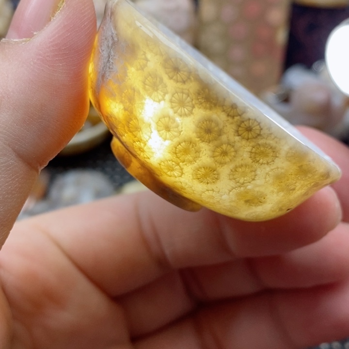 硅化珊瑚（珊瑚玉）颈饰未镶嵌