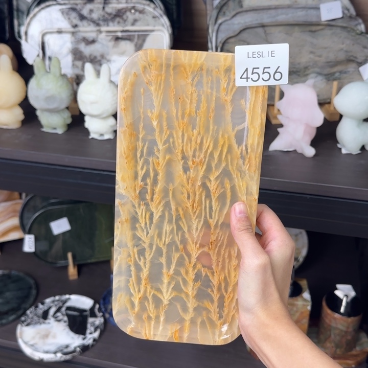 李*X556.         漏