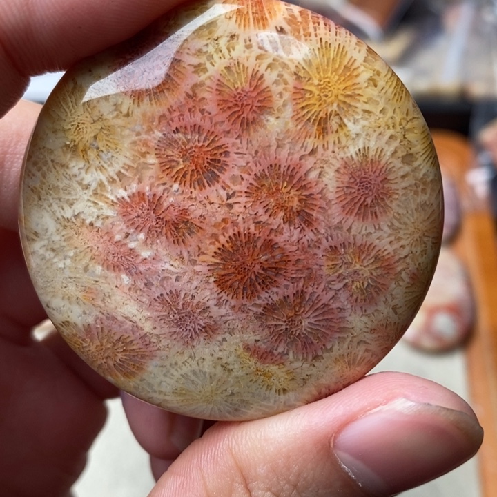 硅化玉颈饰足金镶嵌古**月