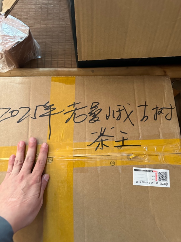 《厂长私藏》老曼峨2025茶王地古树12g